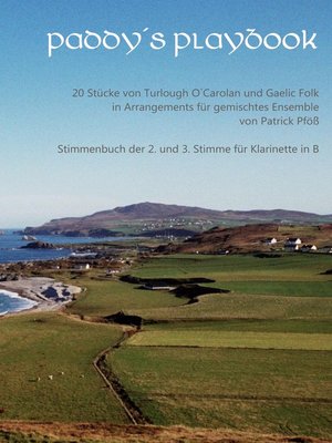 cover image of Paddy´s Playbook
